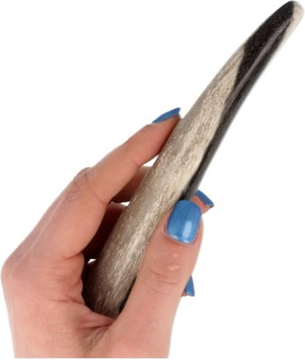 Indonesische behandelstaaf Versteend hout