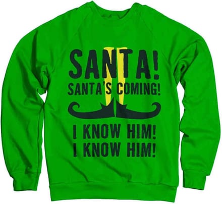 Elf Sweater/trui -L- Santa's Coming Groen