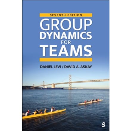 Group Dynamics For Teams - Daniel J. Levi