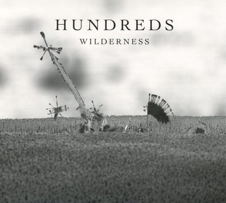 Wilderness