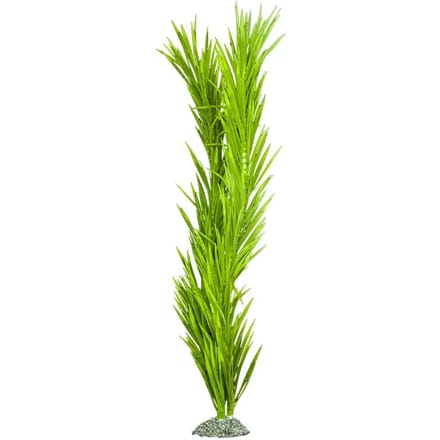 Aqua D'ella Kunstplant Kelp Medium - 43CM