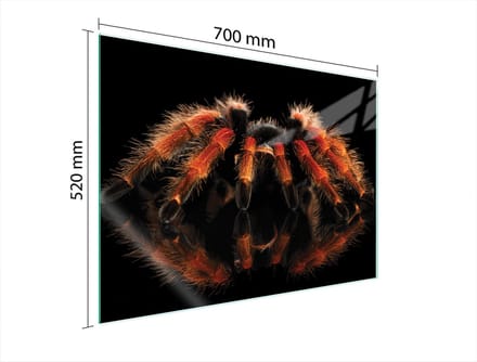 TMK ArtDeko - Glazen Beschermplaat - 70x52 cm - Veilig - Modern
