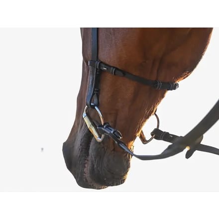 Anatomische paardenruiters biedingen Jump'In Liberty