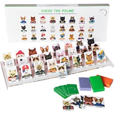 Guess The Feline - Journey of Something