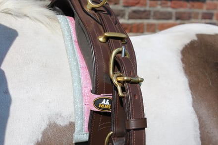 MHS Longeer/Tuig onderlegger Glitter