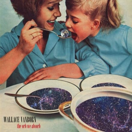 Wallace Vanborn - The Orb We Absorb (CD)