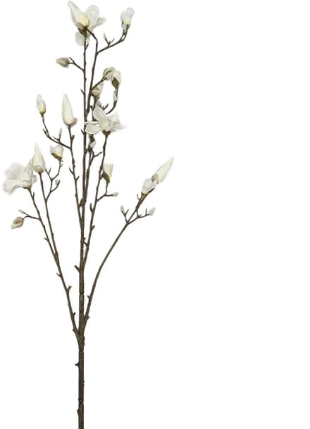 Kunsttak Magnolia Spray Cream - 155 cm