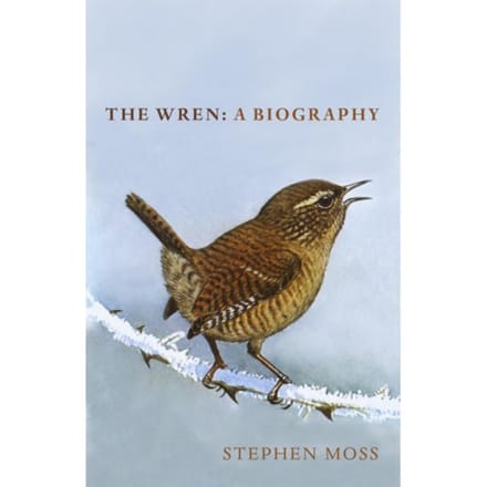 The Wren - The Bird Biography Series - Stephen Moss