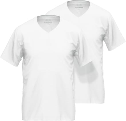 CECEBA Nevada - Heren T-shirt V-hals - 2-pack - 100% biologisch katoen - Wit