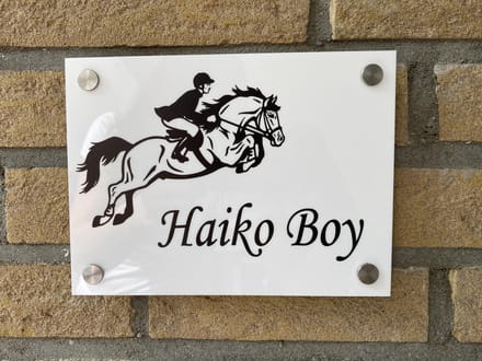 Naambordje / huisnummer voordeur springpaard met ruiter wit