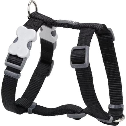 Red Dingo Hondentuig 25mm Neck 46-76cm Body 56-80cm DH-ZZ-BB-25
