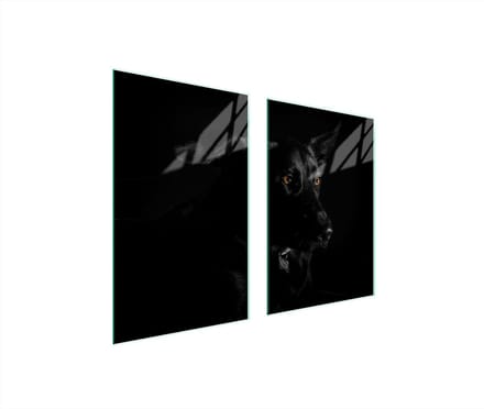 TMK ArtDeko - Snijplank - Glas - 35+30 x 52 cm - Hond