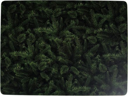 placemat dennentakken 30x40cm (4)*