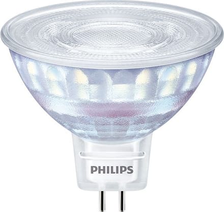 Philips Master LED-lamp - 30744500 - E39V4