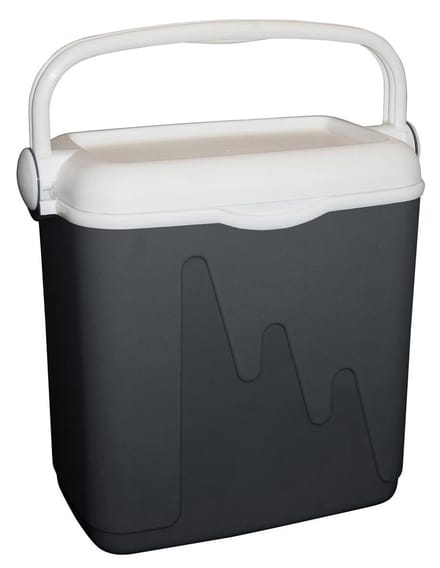 Curver Koelbox - 20L - Antraciet