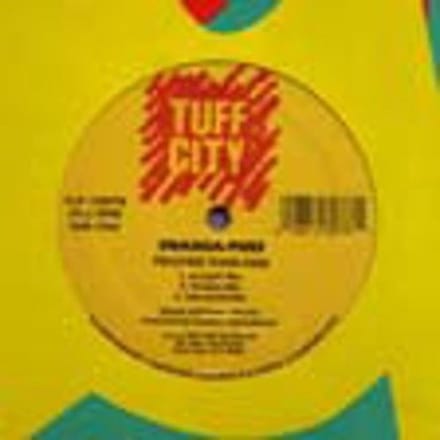 Snagga Puss - Trasher Than Dem / Love Gal Pickney (12" Single)