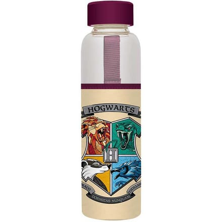 Harry Potter Glass Bottle