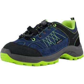 Wandelschoenen Witeblaze -