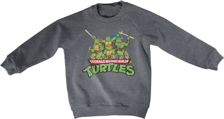 Teenage Mutant Ninja Turtles Teeange Mutant Ninja Turtles Distressed Group kindersweatshirt, donkergrijs gemêleerd