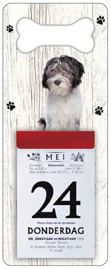 Scheurkalender 2027 Hond: Nederlandse Schapendoes