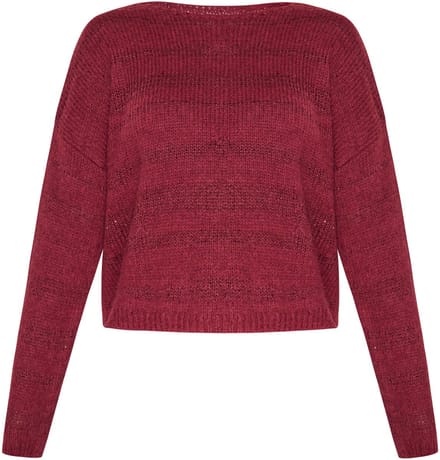 usha Jumper