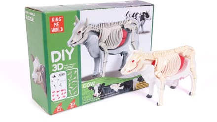 PIA Soft Toys - 3D Anatomie - Koe