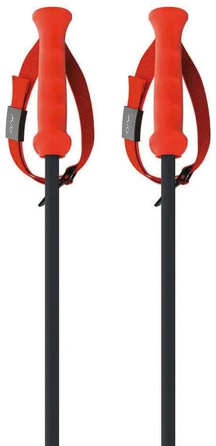 Fischer Rd 13 Carbon Stokken Oranje 135 cm
