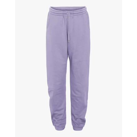Jogging Colorful Standard Organic Purple Jade
