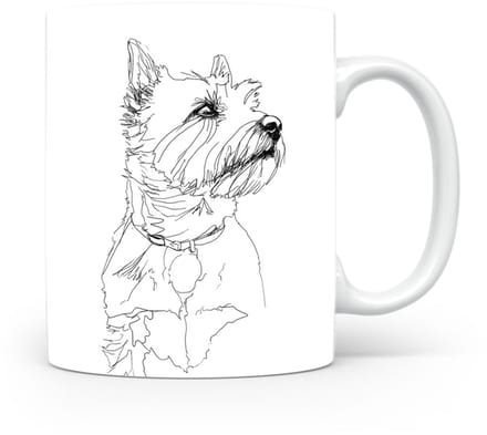 Beker Norwich Terrier