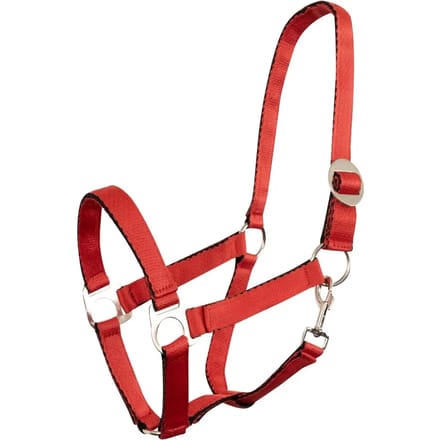 Halster voor paarden Premiere Equitation Soft Economic