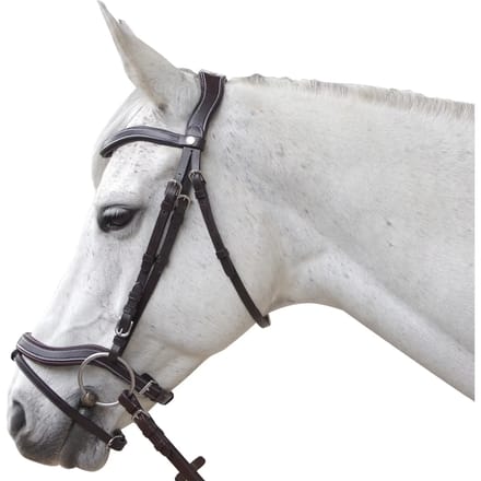 Anatomische hoofdstellen Canter Baloubet
