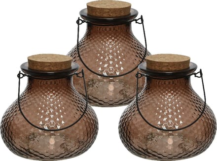 Decoris wespenvanger/wespenval - set 3x - glas - donkerbruin - D14 x H13 cm
