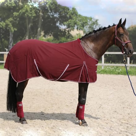 Paardendeken York Torrone