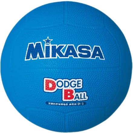 Voetbal Mikasa D2-BL