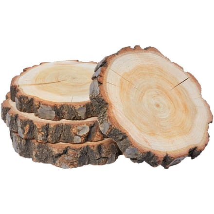 VBS Boomschijven "Rond"