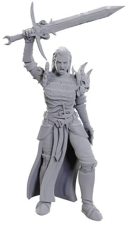 D&D Nolzur's Marvelous Miniatures Blackguard