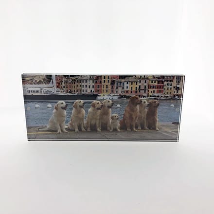AL - Plexiglas / Acryl Fotolijst - Seattle - 12 x 27 cm