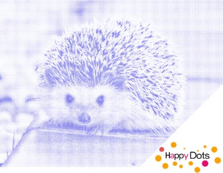 HappyDots DOT Painting Egel 30x40cm - Stippelschilderij Blauw