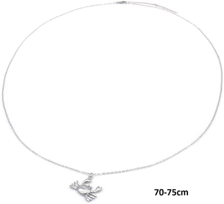 Ketting Krab – RVS – 75cm