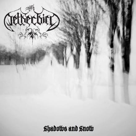 Shadows And Snow