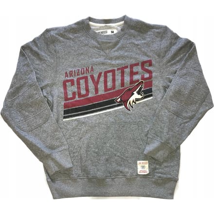 Hoodie Arizona Coyotes Nhl Ccm Pro Vintage L gray