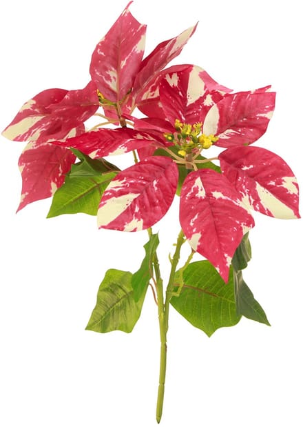 Kunstkerstster in rode crème L35cm 6st 2 bos, 6 stuks