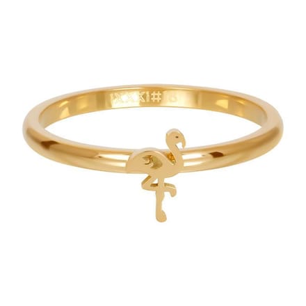 Symbol flamingo - iXXXi - Vulring 2 mm