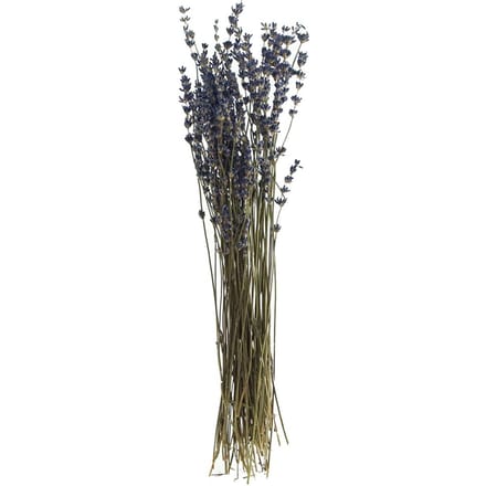 Lavendel natuurlijk blauw
