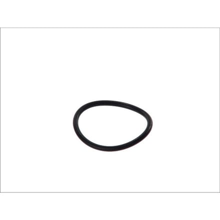 Pakking, thermostaat ELRING 761.109