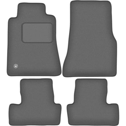 Grafiet automatten voor: Ford Mustang MK5 coupé (2004-2014)