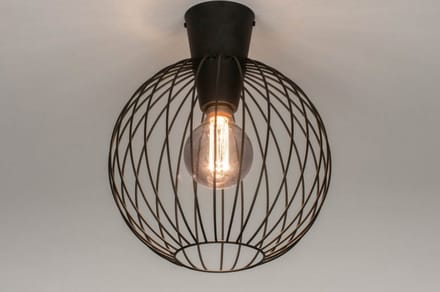 Lumidora Plafondlamp 73632 - Plafonniere - E27 - Zwart - Metaal - ⌀ 30 cm