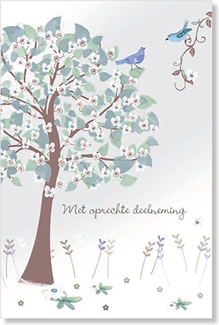 MGPcards - 6 Luxe dubbele wenskaarten - Deelneming - Foliedruk - FSC-keurmerk - 11,5 x 17 cm