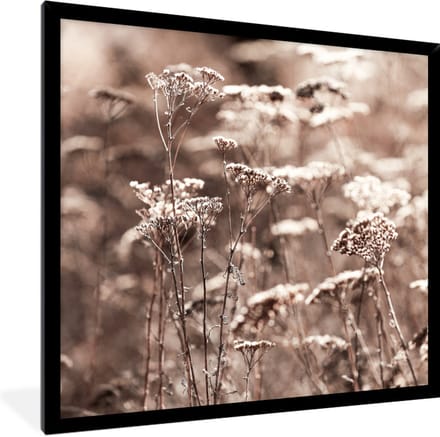 Fotolijst incl. Poster - Planten - Bloemen - Winter - Sneeuw - Sepia - 40x40 cm - Posterlijst