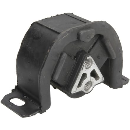 Motorsteun REINHOCH RH11-5016 links